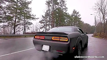 Shy Miss Sunset Repays Ride With Sloppy Car Blowjob videos