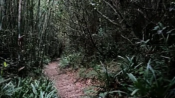 Public Forest Walk, Masturbating and Naked on Webcam videos