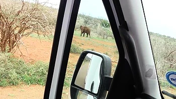 Amateur Black GF Pussy Banged Raw By BWC videos