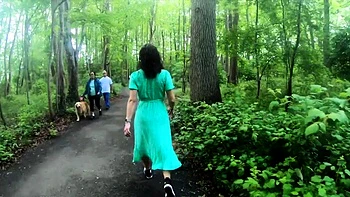 AmWednesday - chains in a forest videos