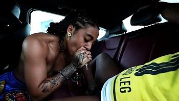 Zerella Skies videos