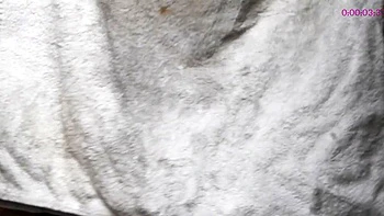 Brunette Solo Webcam Masturbation videos