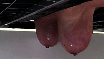 HuCows Manuela On The Milking Bed videos