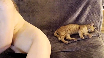 Big Boobs Cam Sex Toys more videos