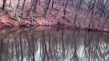 Natural Amateur blowjob outdoors exposed videos