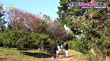 0010664_股縄 激ピス お漏らしなどが含まれている videos