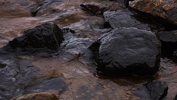 Brunette Pussy Temptations - Bloom Lambie videos