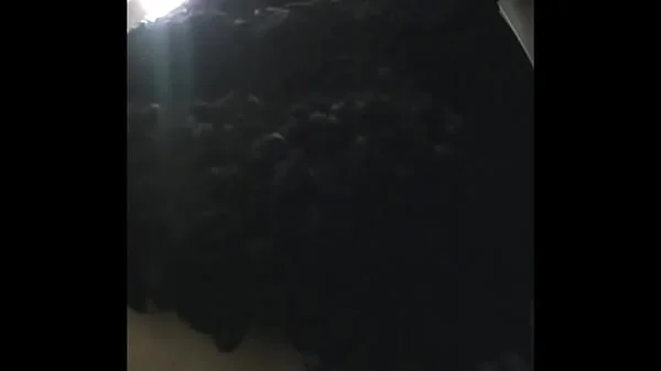 MOV 100. Continuation of the adventures of girls in the cafe toilet videos