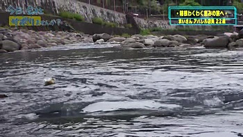 0010735_巨乳 フェラチオ 可愛いなどが含まれている videos