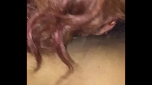 Thick Latina neighbor came to gag on bbc videos