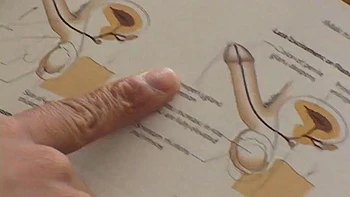 Double Penetration: Blowjob, Doggy  Cowgirl Porn videos