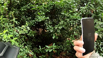 Party Girl Eats John Price's Ass And Squirts All Over Him! videos