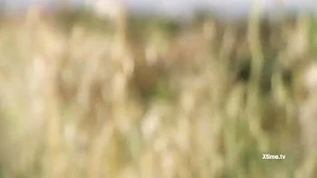 Andrea Dipres Balls Kicked In The Country videos