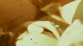 Rene Bond And John Holmes - Hot Threesome On The Beach From The American Vintage Porn Of The Seventies videos