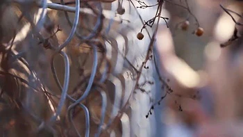 0011015_ベロチュー 寝取り 接吻などが含まれている videos