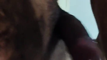 Tanya Stepsister-in-laws That Stepbrother-in-law Fucked videos