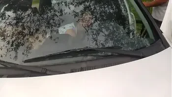 dogging no anf theatro videos