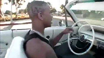 Sexyyybbw: Blowjob, Doggy  Cowgirl Porn videos