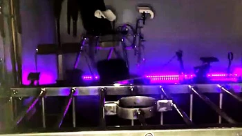 Amateur fetish couples tape videos