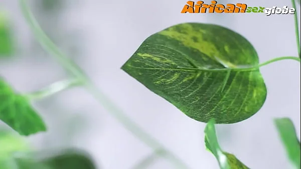 the sex clinic videos