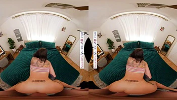 Mshf brennakyle videos