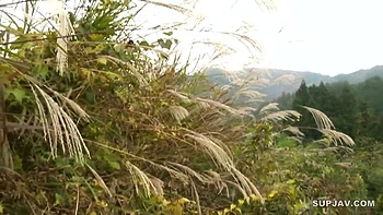 Japanese Stepsisters videos