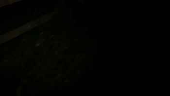 Francesca and Francesca's spicevids smut videos