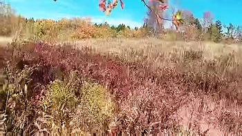 Hana Go To Garden At Apple Tree Drain Water She Very Happy After That videos