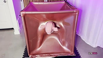 Pig In A Vacuube Feat Astrodomina videos