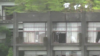 Asian Angel 13020 videos