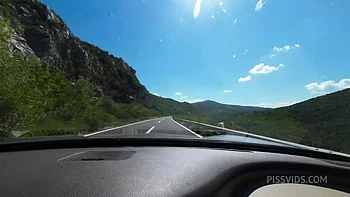 14 Hour Road Trip And How Many Times She Peed (Extended Edition) videos