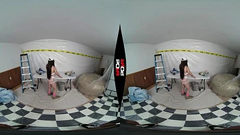 A Fresh Lick of Paint videos