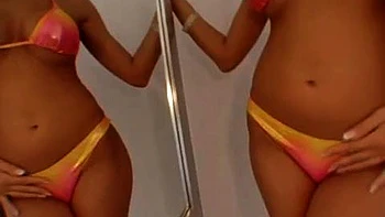 POVC - Lisa Rose: Blowjob, Cowgirl  Missonary Porn videos