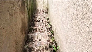 Alluring Stanley Johnson at in front of action videos