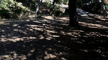 Girl Gets Her Ball From The Neighbor And Gets A Good Balling videos