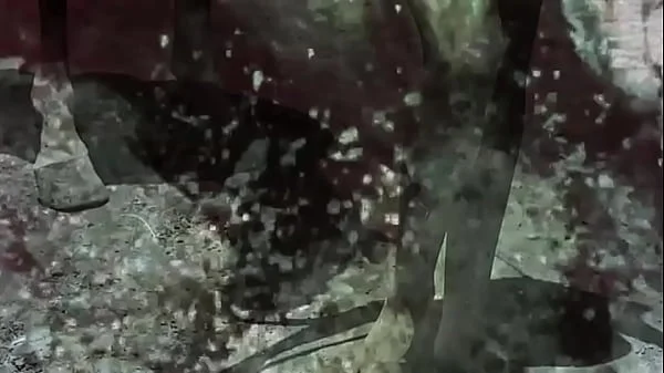 Dark Lantern Entertainment presents 'Women With Animals' videos