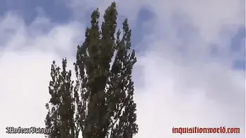 Auslauf für die nackte Hündin (TRAILER) videos