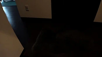 0011703_美女 玩具 アナル調教などが含まれている videos