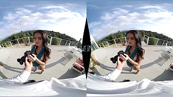 The Social Netwerk videos