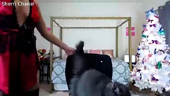 Cam show: Babe, Bongacams  Solo Porn videos