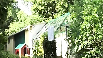 Mistress Flo Dominates Novice Submissive: Anal Dildo, Pissing & Whipping videos