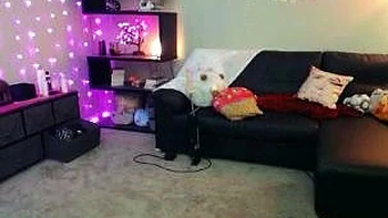 Hot amateur webcam teen masturbates for their fans videos