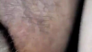 Doggy Style Fucking videos