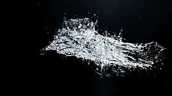 VIPissy - eating pussy xxx videos