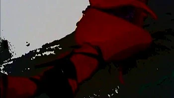 Amanda Blake baisée dur : pipe, levrette, amazone videos