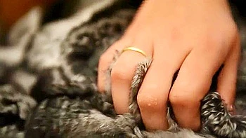 Adolescente blonde 18+ en fourrure me chauffe videos