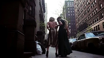 Brünette Milf bekommt haarigen Blowjob und leckt videos