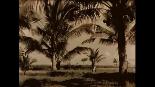 Dark Lantern Entertainment presents 'Vintage Women Of The World' from My Secret Life, The Erotic Confessions of a Victorian English Gentleman videos