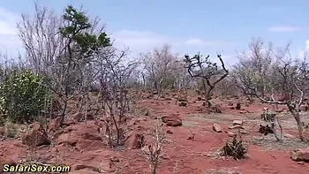 African Ebony Threesome Gangbang Outdoor Fuck videos