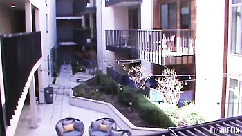 Худая Лана сосет и принимает секс сзади от Сета videos